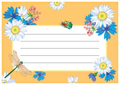 Обложка книги Наклейка на тетрадь (с цветами), Автор ШН-12816, издательство Сфера | купить в книжном магазине Рослит