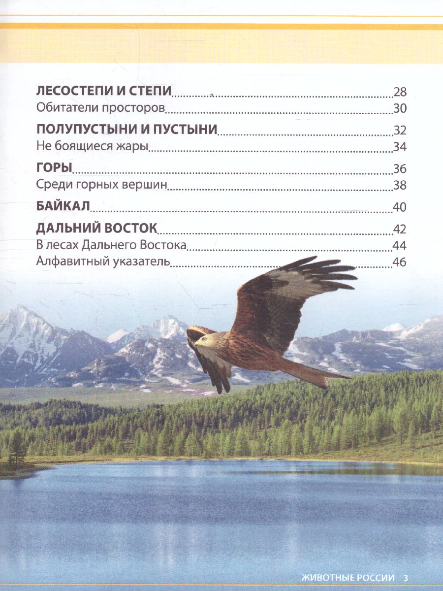Обложка Детская энциклопедия "Животные России", издательство Буква-Ленд                                         | купить в книжном магазине Рослит