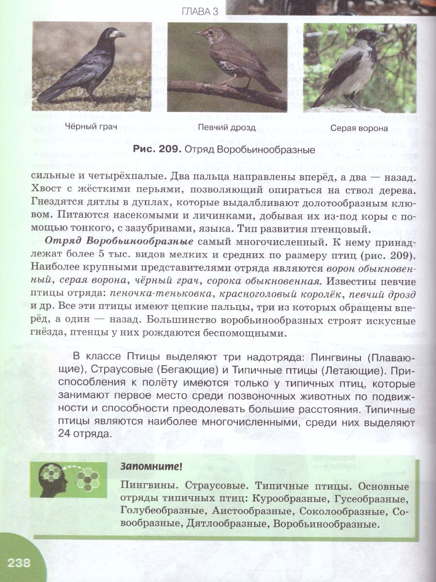Обложка книги Биология 8 класс. Учебник, Автор Тихонова Е.Т. Романова Н.И. Михайловская С.Н. /П, издательство Русское слово | купить в книжном магазине Рослит