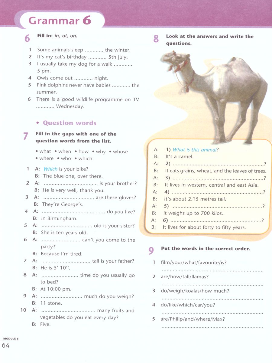 Обложка книги Английский язык 5 класс. Второй иностранный язык. Рабочая тетрадь, Автор Маневич Е.Г. Полякова А.А. Дули Д., издательство Просвещение | купить в книжном магазине Рослит