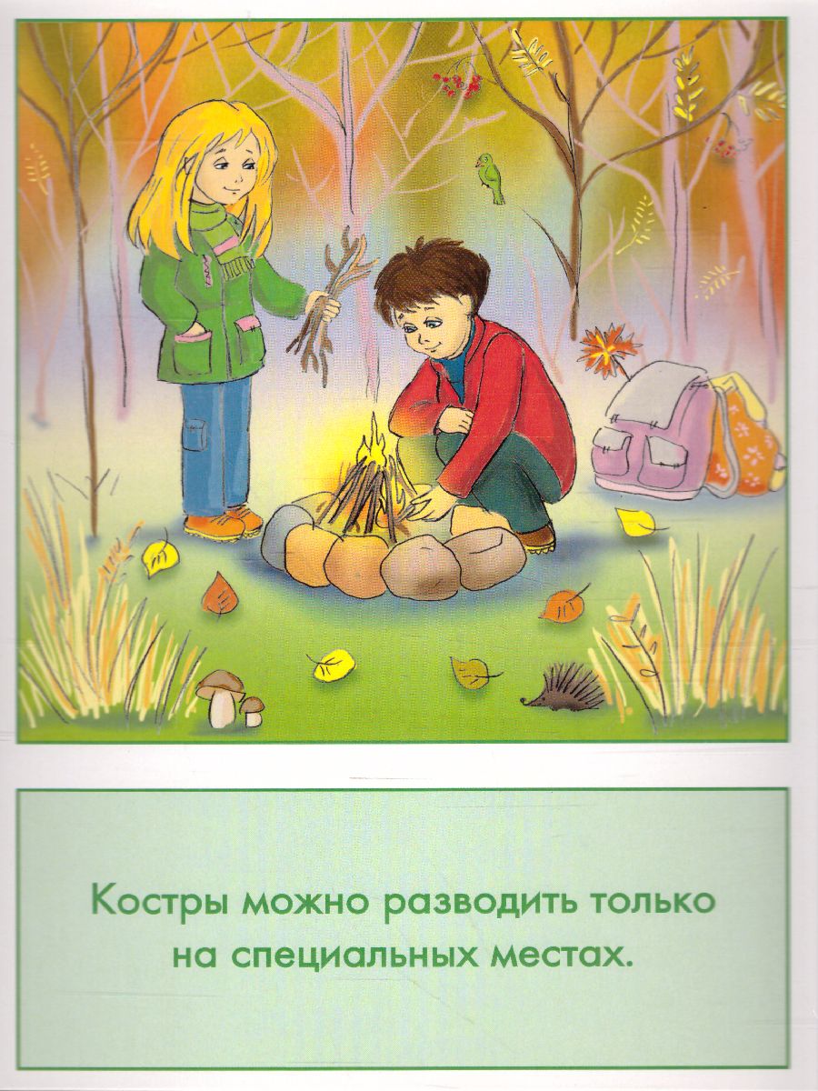 Обложка книги Дидактические карточки "Безопасное поведение на природе", Автор , издательство Маленький гений-Пресс | купить в книжном магазине Рослит