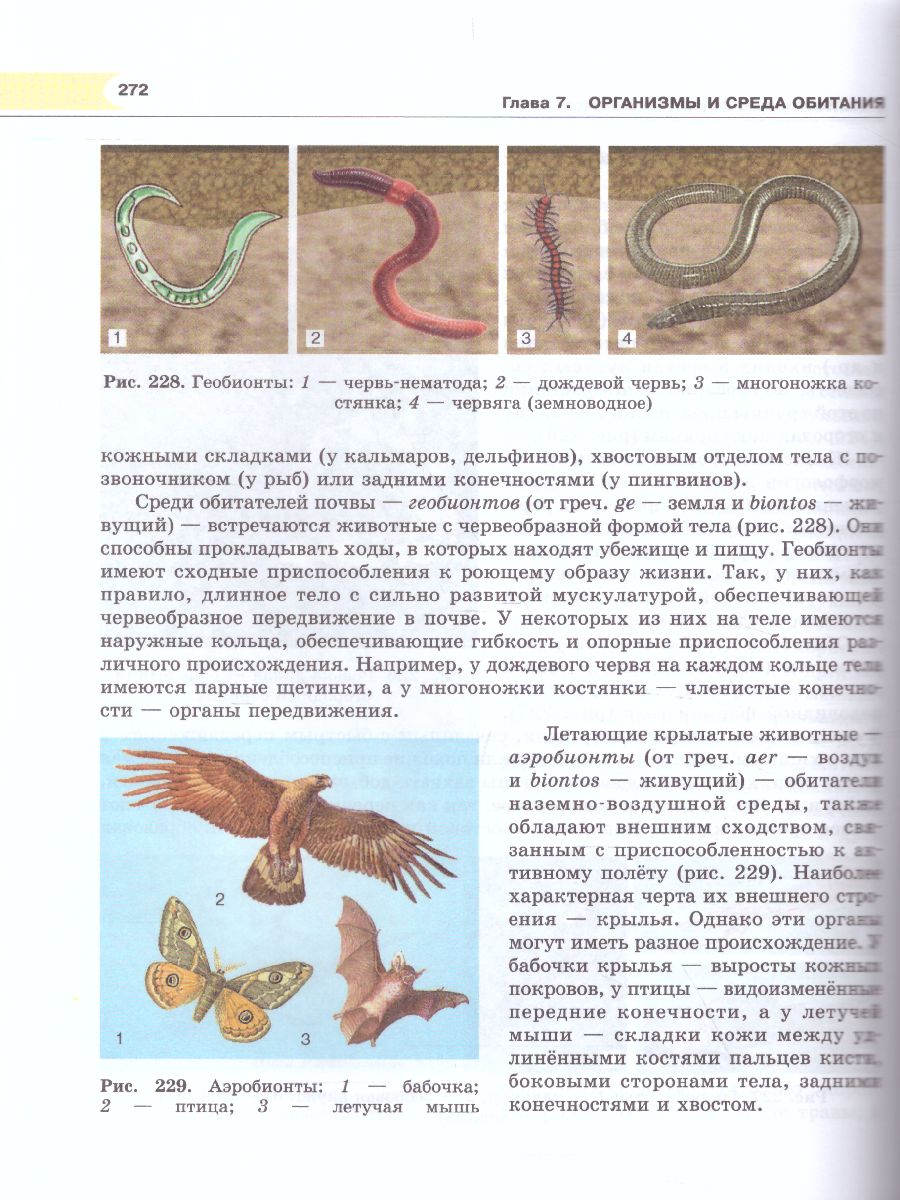 Обложка книги Биология 11 класс. Углубленный уровень. Учебник. ФГОС, Автор Теремов А.В. Петросова Р.А., издательство Мнемозина | купить в книжном магазине Рослит