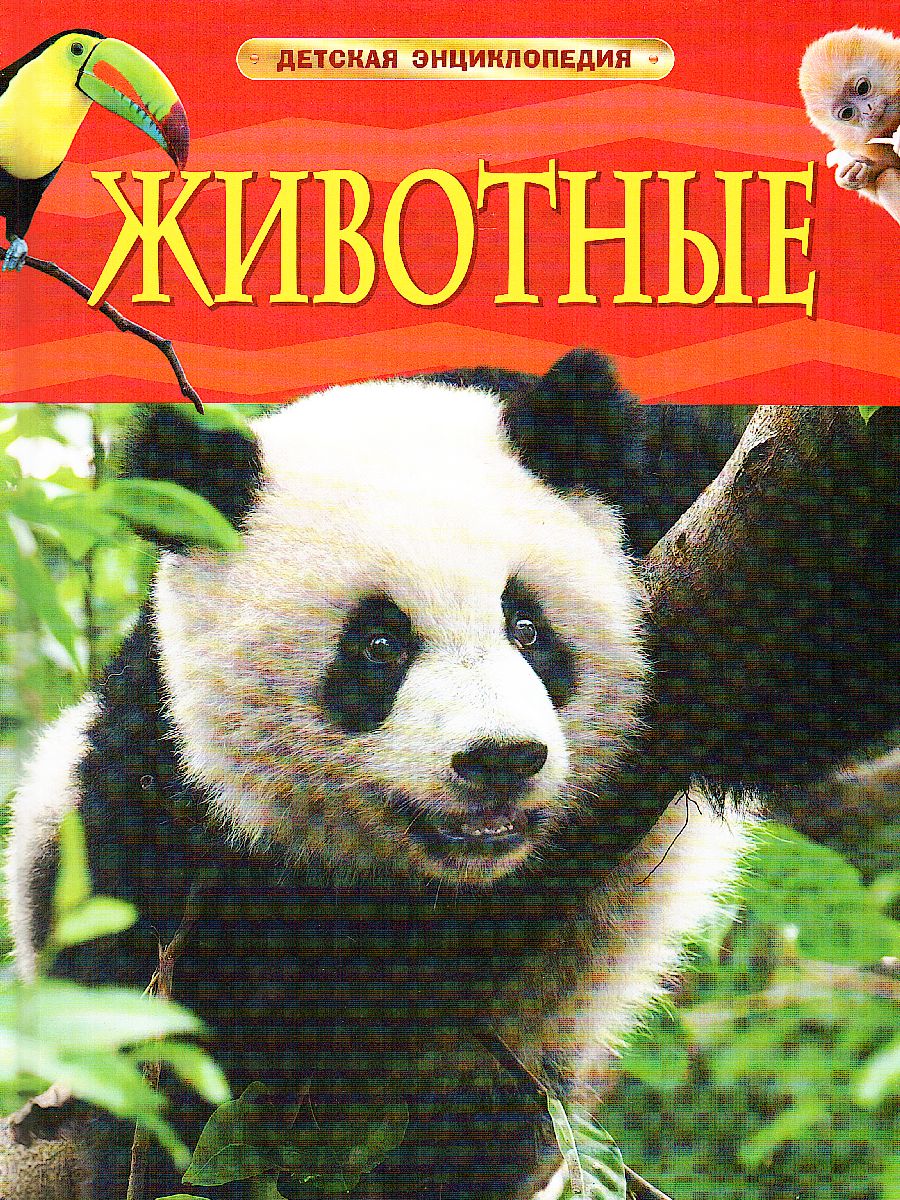 Обложка Животные, издательство РОСМЭН | купить в книжном магазине Рослит