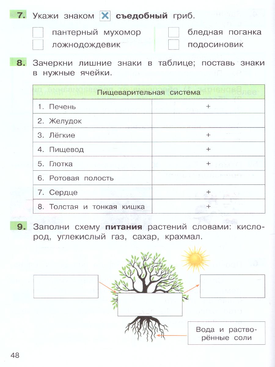 Обложка книги Мишакина Подготовка к ВПР по окружающему миру 3 класс (Бином), Автор Мишакина Т.Л. Елина Е.М., издательство Просвещение/Союз                                   | купить в книжном магазине Рослит