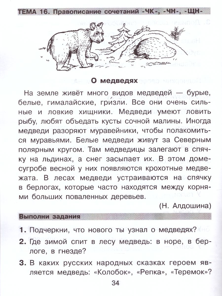 Обложка книги Русский язык и Чтение 1-2 класс. Универсальный тренажер, Автор Мишакина Т.Л. Гладкова С.А. Алдошина Н.Е., издательство Просвещение/Союз                                   | купить в книжном магазине Рослит