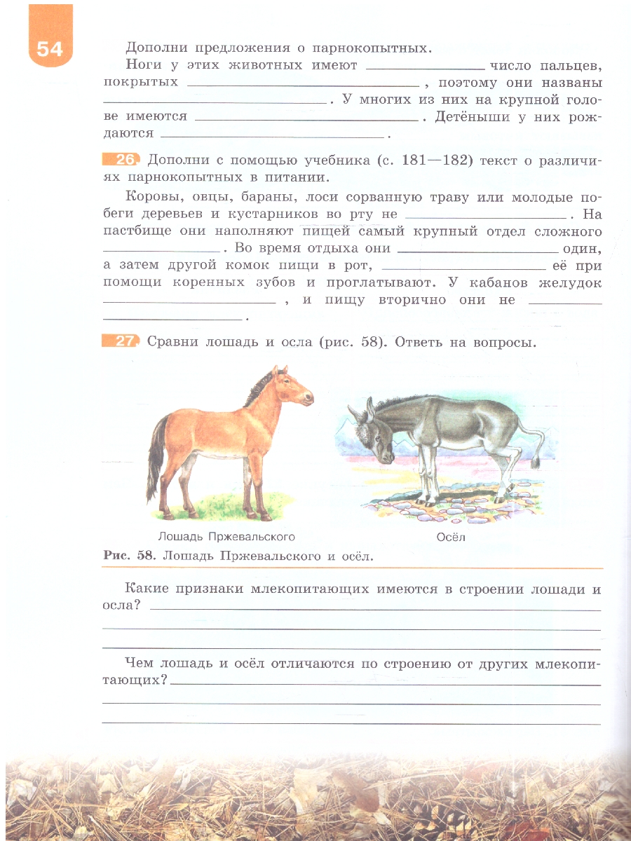 картинка Биология 8 класс. Рабочая тетрадь(для обучающихся с интеллектуальными нарушениями). от магазина Рослит