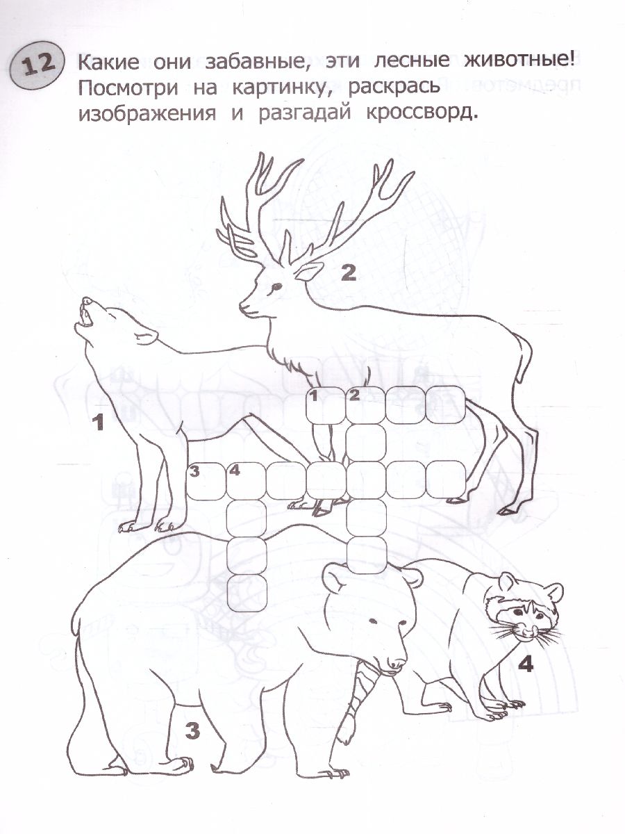 Обложка книги Кроссворды-раскраски для детей 5-6 лет, Автор Окунева Екатерина Геннадьевна, издательство Феникс ТД                                          | купить в книжном магазине Рослит