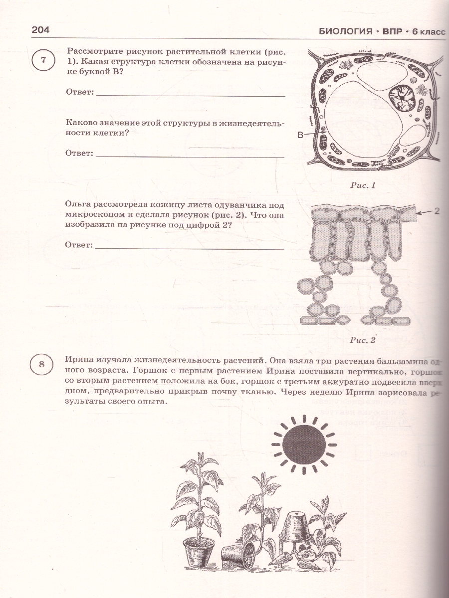 Обложка книги ВПР 6 класс. Сборник тренировочных вариантов проверочных работ, Автор Текучева И. В. Воробьев В. В. Артасов И. А., издательство АСТ | купить в книжном магазине Рослит