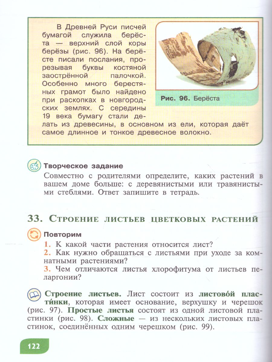Обложка книги Технология 6 класс. Цветоводство и декоративное садоводство (для обучающихся с интеллектуальными нарушениями), Автор Карман Н.М. Ковалева Е.А. Зак Г.Г., издательство Просвещение | купить в книжном магазине Рослит