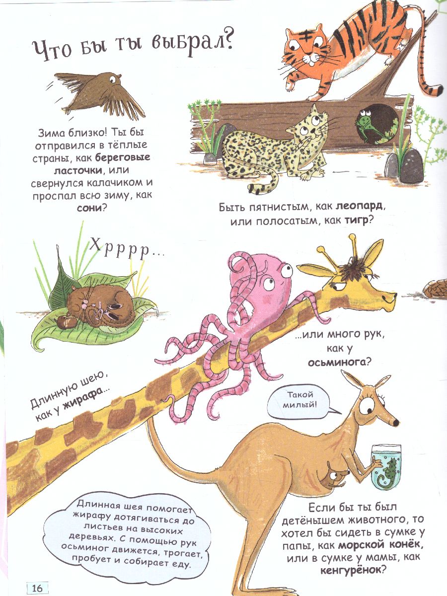Обложка Животные, издательство АСТ | купить в книжном магазине Рослит
