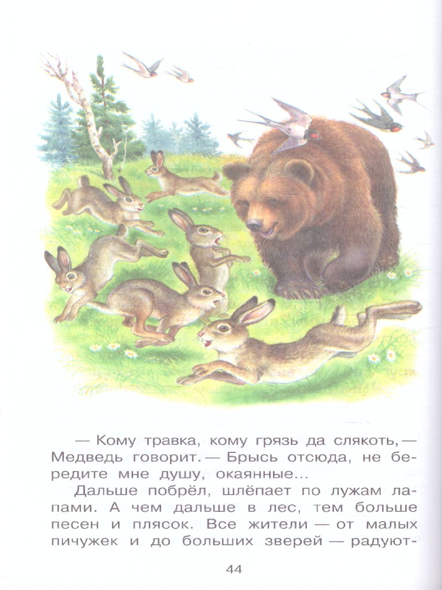 Обложка книги Лесные истории, Автор Шим Э.Ю., издательство АСТ | купить в книжном магазине Рослит