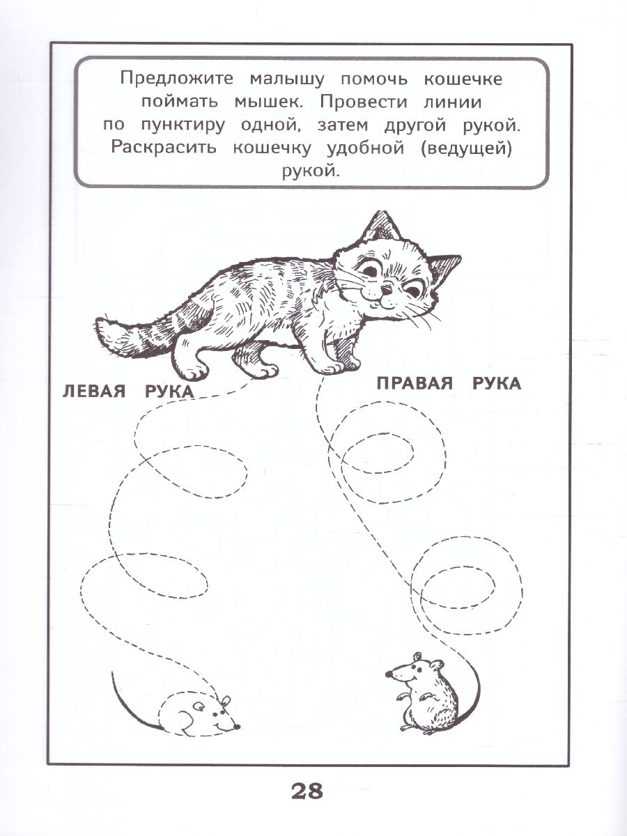 Обложка книги Развитие межполушарного взаимодействия у детей. Раскраска, Автор Трясорукова Т.П., издательство Феникс ТД                                          | купить в книжном магазине Рослит