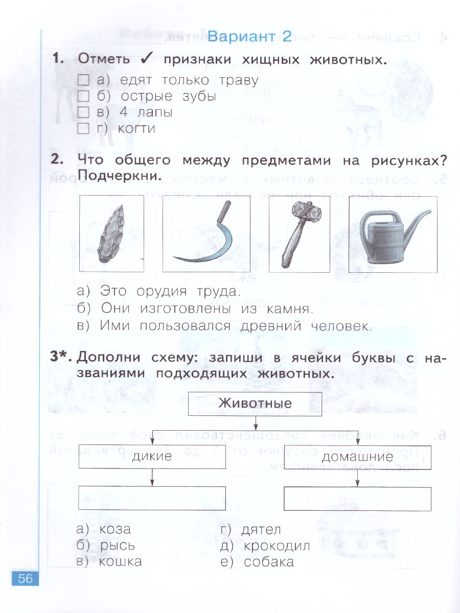 Обложка книги Окружающий мир 1 класс. Тематический и итоговый контроль. Рабочая тетрадь, Автор Галяшина П.А., издательство Просвещение/Союз                                   | купить в книжном магазине Рослит