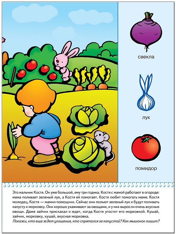 Обложка книги Школа Семи Гномов Второй год обучения. В деревне и на даче, Автор Денисова Д., издательство Мозаика-Синтез | купить в книжном магазине Рослит