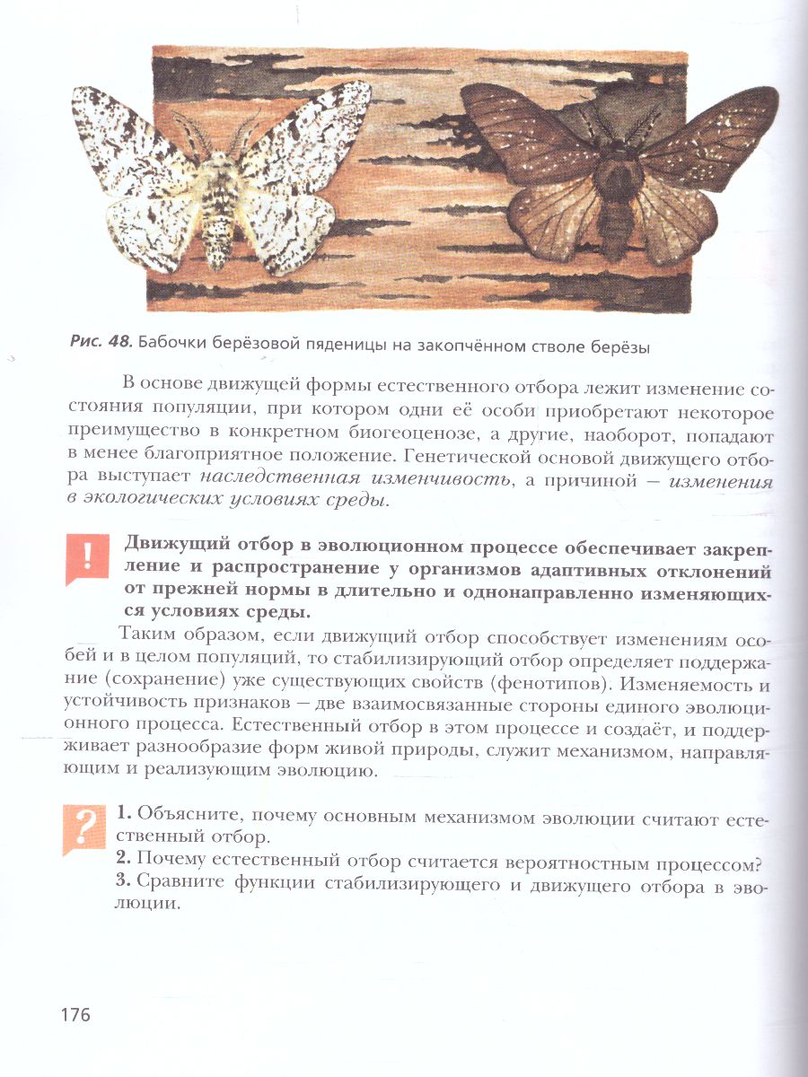 Обложка книги Биология 10 класс. Учебник (базовый уровень). ФГОС, Автор Пономарева И.Н. Корнилова О.А. Лощилина Т.Е., издательство Просвещение | купить в книжном магазине Рослит