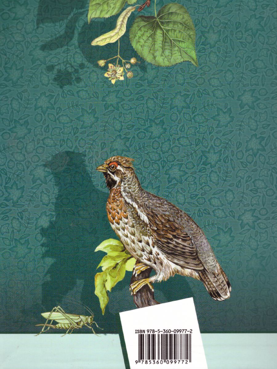 Обложка книги Биология 11 класс. Учебник. Базовый уровень. ФГОС, Автор Каменский А.А. Сарычева Н.Ю. Исакова С.Н., издательство Просвещение/Союз                                   | купить в книжном магазине Рослит