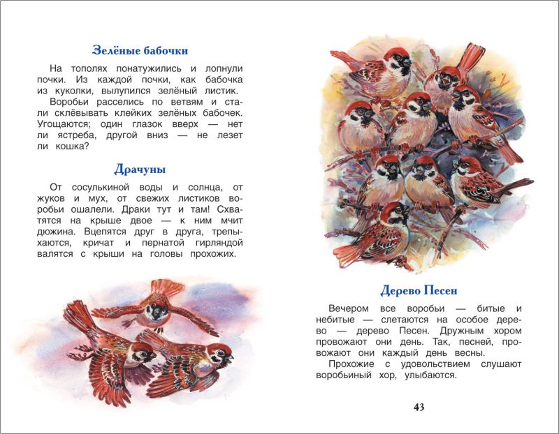 Обложка Лесные сказки, издательство РОСМЭН | купить в книжном магазине Рослит