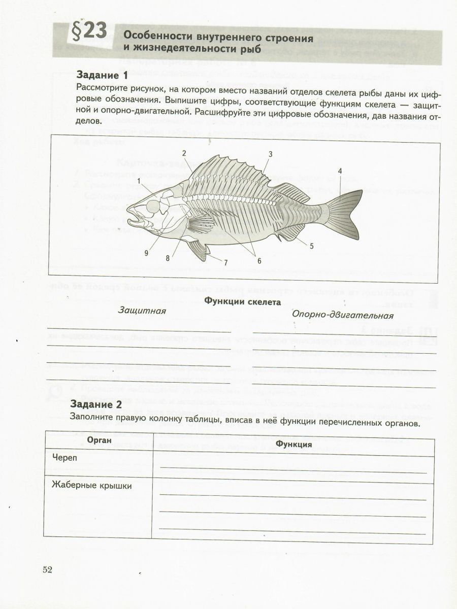Обложка книги Биология 7 класс. Рабочая тетрадь №1, Автор Сухова Т.С. Шаталова С.П., издательство Просвещение/Союз                                   | купить в книжном магазине Рослит