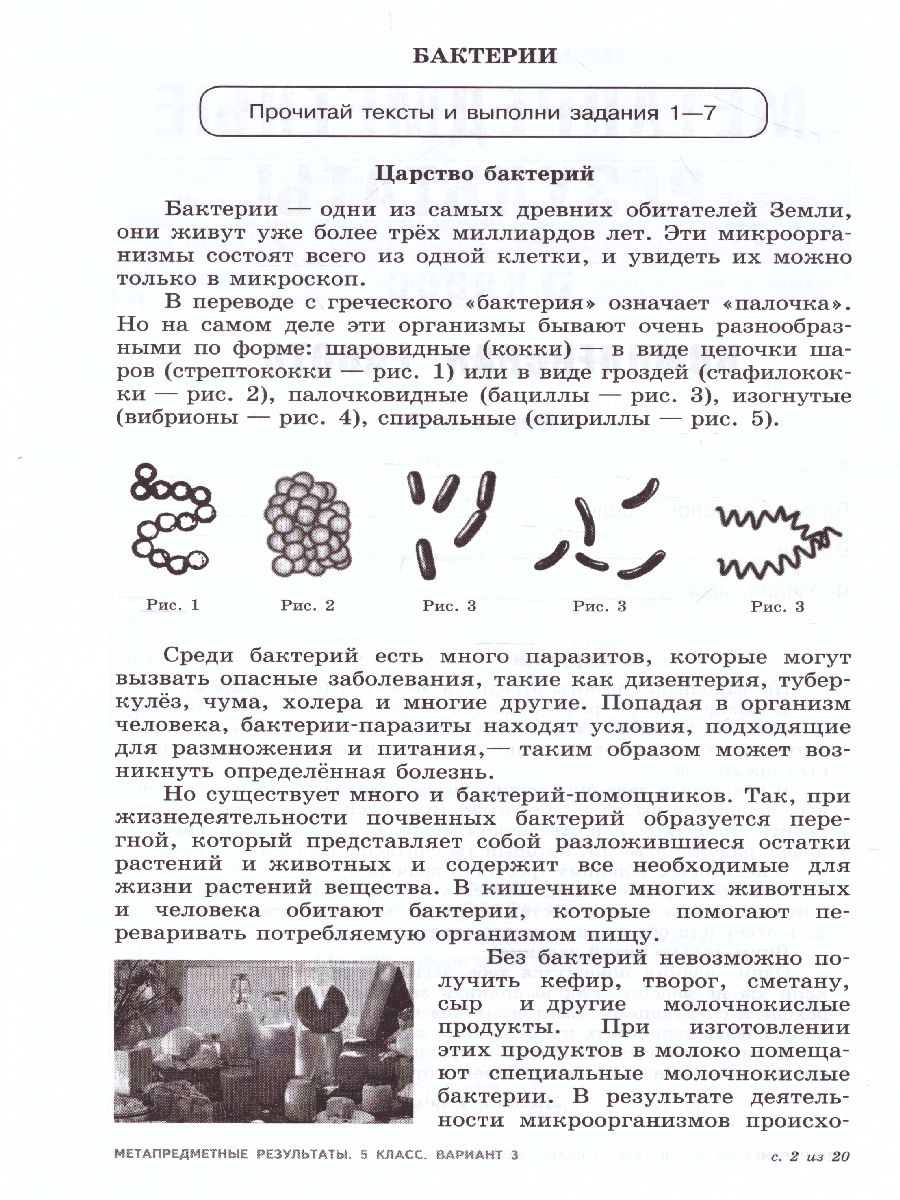 картинка Метапредметные результаты. Стандартизированные материалы для оценки читательской грамотности. 5 класс. Варианты 1-4 от магазина Рослит