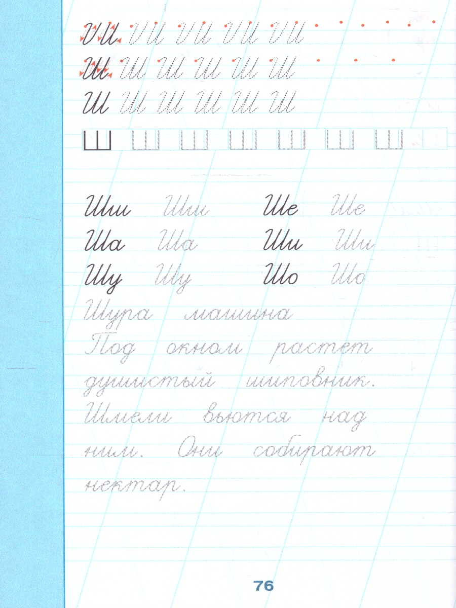 Обложка книги Тетрадь-тренажёр по чистописанию: с нуля до каллиграфического почерка за 1 месяц. 1 класс, Автор Голубцова О., издательство АСТ | купить в книжном магазине Рослит