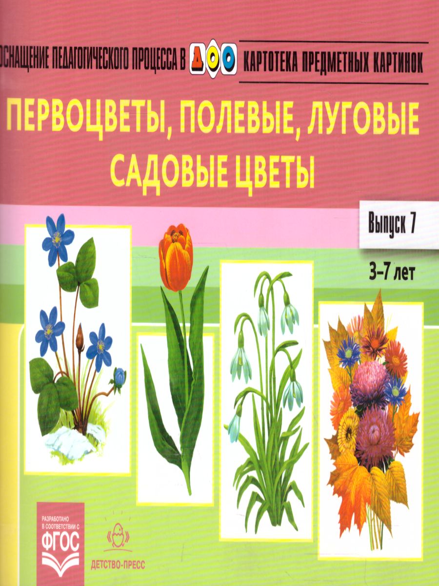 Обложка книги Картотека предметных картинок. Выпуск 7. Первоцветы, полевые, луговые, садовые цветы, Автор Нищева Н.В., издательство ДЕТСТВО-ПРЕСС | купить в книжном магазине Рослит