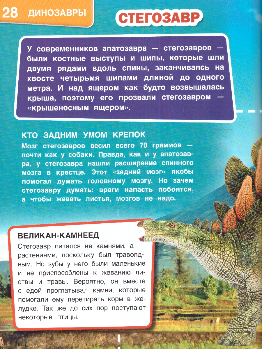 Обложка книги Энциклопедия. Динозавры с дополненной реальностью, Автор Хомякова К. Хохлова Е., издательство Умка                                               | купить в книжном магазине Рослит