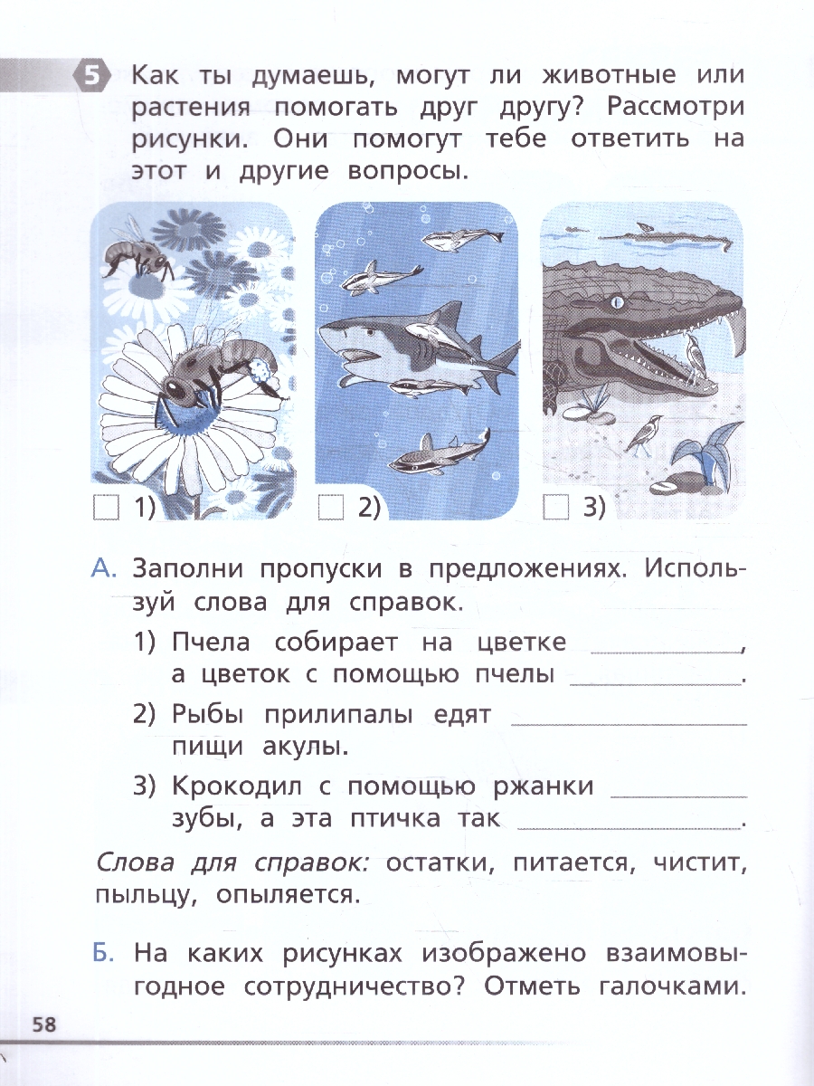 Обложка книги Естественно-научная грамотность 1 класс. Окружающий мир. Тетрадь-тренажер, Автор Галяшина П.А., издательство Вако | купить в книжном магазине Рослит