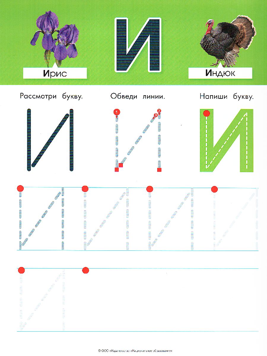 Обложка книги Буквы: пиши и стирай: тетрадь для письма маркером для детей 4-7 лет, Автор Вершинина Е.А., издательство Национальное образование | купить в книжном магазине Рослит