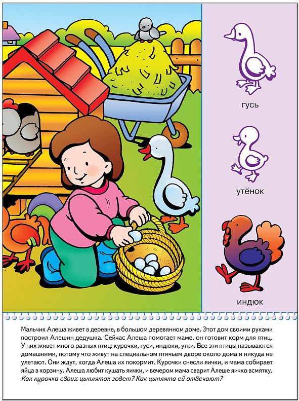 Обложка книги Школа Семи Гномов Второй год обучения. В деревне и на даче, Автор Денисова Д., издательство Мозаика-Синтез | купить в книжном магазине Рослит