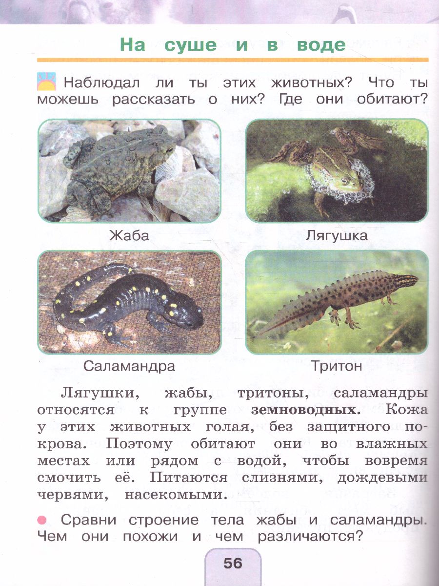 Обложка книги Поглазова Окружающий мир 1кл.  Учебник (в 2-х частях) Ч.2 ФГОС  (Асс21в.), Автор Поглазова О.Т. Шилин В.Д., издательство Просвещение/Союз                                   | купить в книжном магазине Рослит