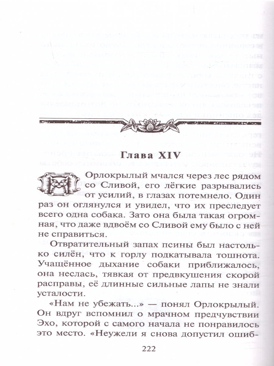 Обложка Коты-воители. Цикл "Путешествия Орлокрылого". Скитания, издательство Просвещение/Союз                                   | купить в книжном магазине Рослит