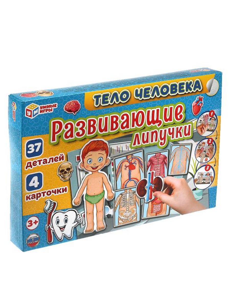 Обложка Играь развивающая.  Тело человека., издательство Умные игры                                         | купить в книжном магазине Рослит