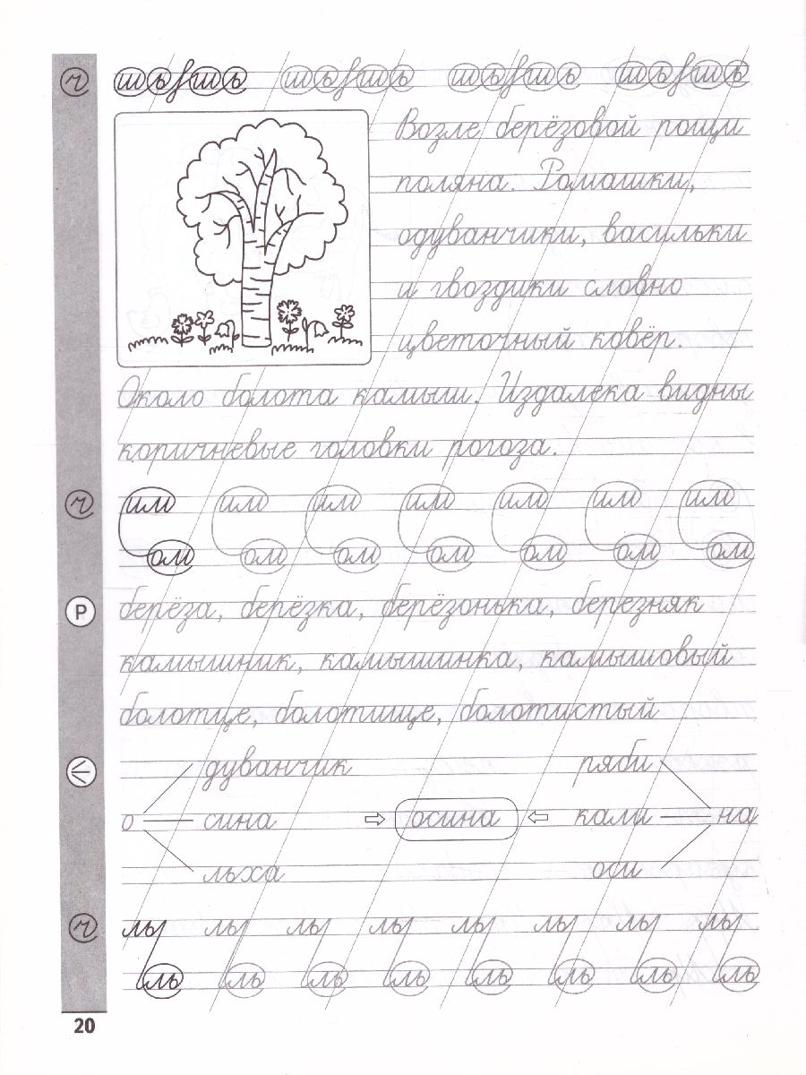Обложка книги Чистописание + словарные слова, Автор Субботина, издательство Феникс ТД                                          | купить в книжном магазине Рослит