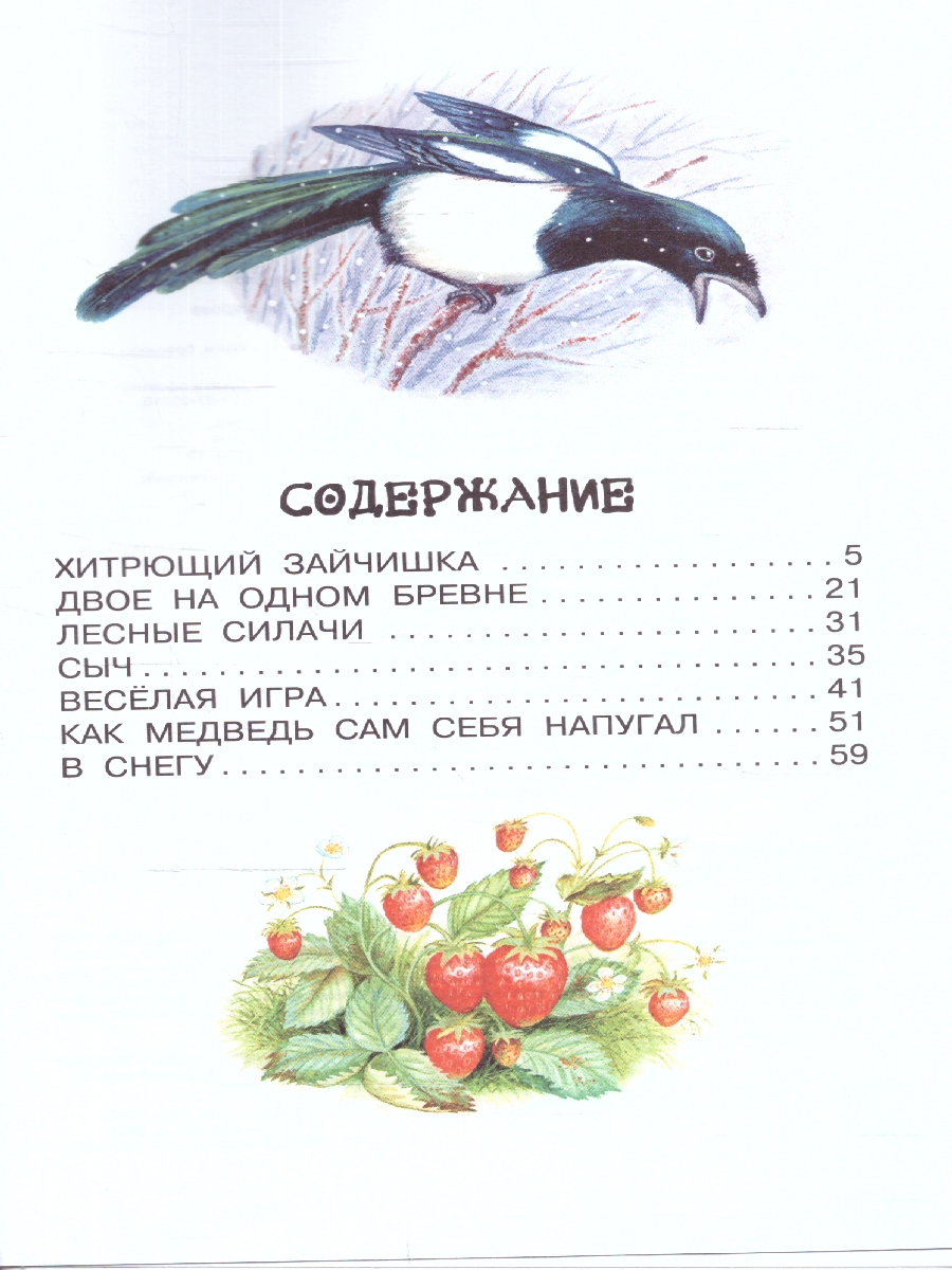 Обложка книги Сладков Лесные сказки, Автор Сладков Н.И., издательство АСТ | купить в книжном магазине Рослит