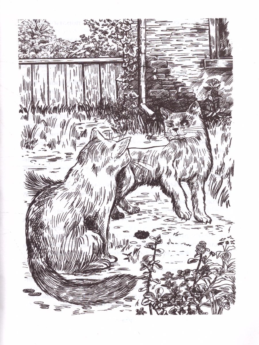 Обложка Коты-воители. Огненная река (цикл "Видение теней"), издательство Просвещение/Союз                                   | купить в книжном магазине Рослит