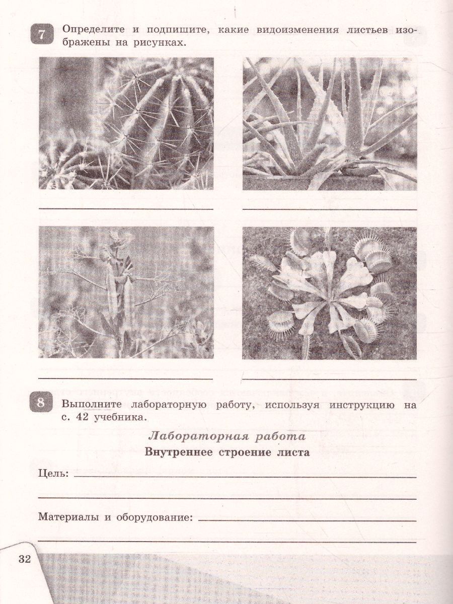 Обложка книги Биология 6 класс Рабочая тетрадь, Автор Сивоглазов В.И., издательство Просвещение/Союз                                   | купить в книжном магазине Рослит