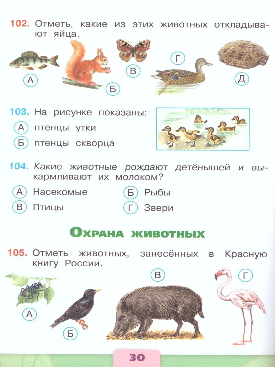 Обложка книги Окружающий мир 3 класс. Тесты. ФГОС. УМК "Школа России", Автор Плешаков А.А. Гара Н.Н. Назарова З.Д., издательство Просвещение | купить в книжном магазине Рослит