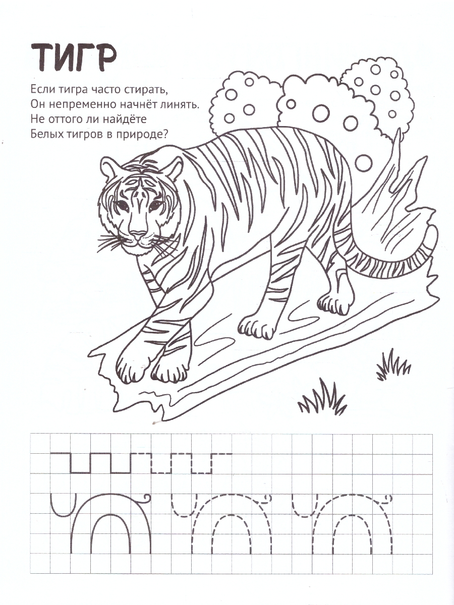 Обложка книги Готовим руку к письму Раскраска с прописями. Весёлый зоопарк, Автор Цветкова Т.В., издательство Сфера | купить в книжном магазине Рослит