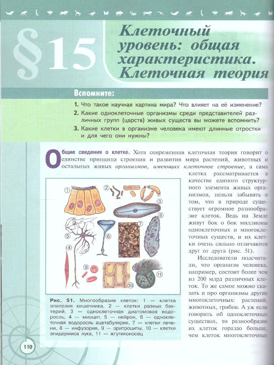 Обложка книги Биология 10 класс. Базовый уровень. Учебник. УМК "Линия жизни" (ФП2022), Автор Пасечник В.В. Каменский А.А. Рубцов A.M., издательство Просвещение | купить в книжном магазине Рослит