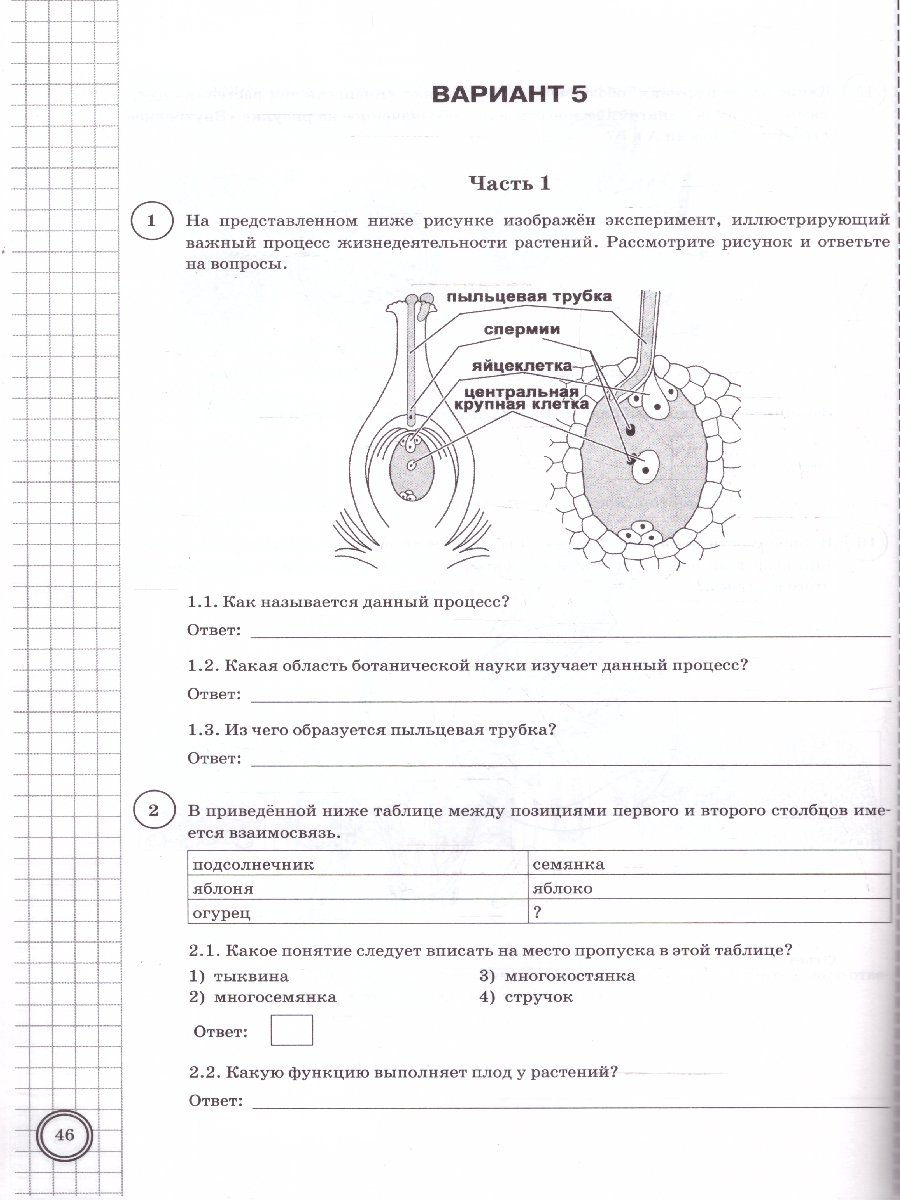 Обложка книги ВПР Биология 6 класс. Типовые задания. 10 вариантов. ФИОКО СТАТГРАД. ФГОС НОВЫЙ, Автор Иголкина Е.А.; Богданов Н.А., издательство Экзамен | купить в книжном магазине Рослит