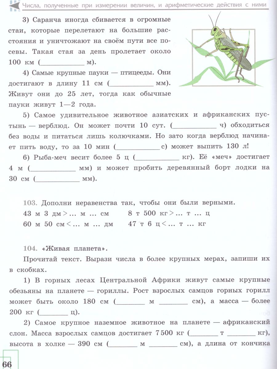 Обложка книги Рабочая тетрадь по Математике. Для учащихся 7 класса специальных (коррекционных) образовательных учреждений VIII вида, Автор Алышева Т.В., издательство Просвещение | купить в книжном магазине Рослит