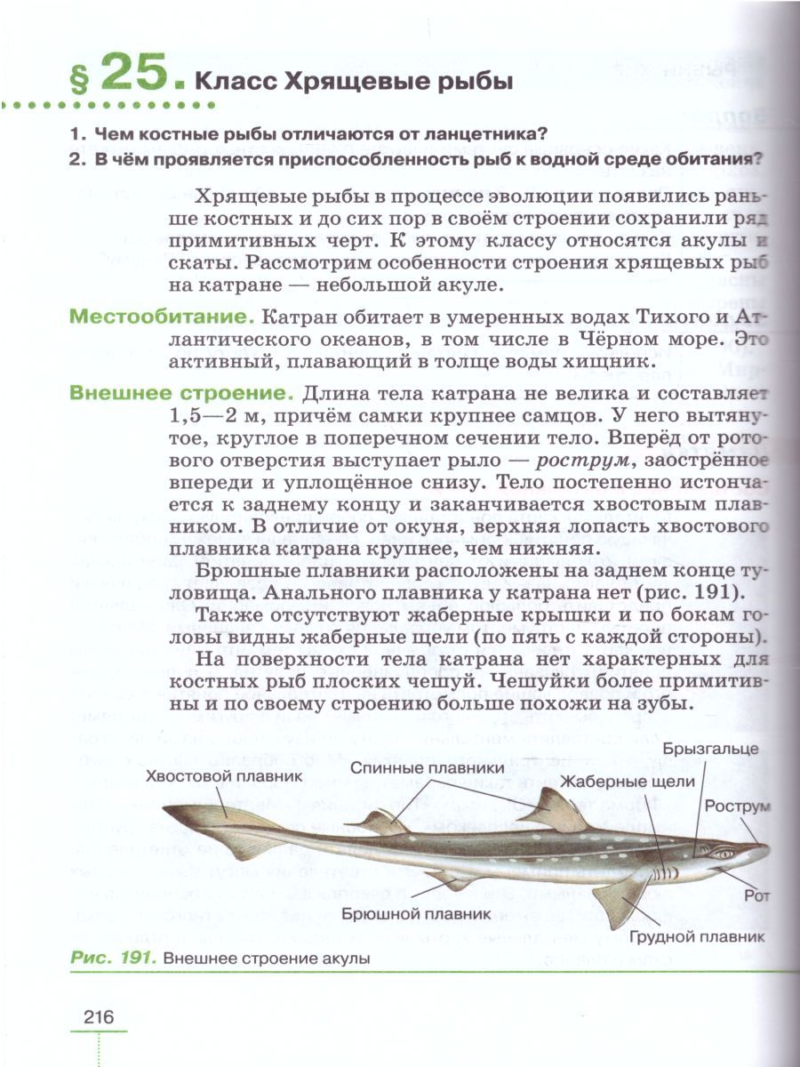 Обложка книги Биология 8 класс Животные: линейный курс. Учебник, Автор Пасечник В.В., издательство Дрофа | купить в книжном магазине Рослит
