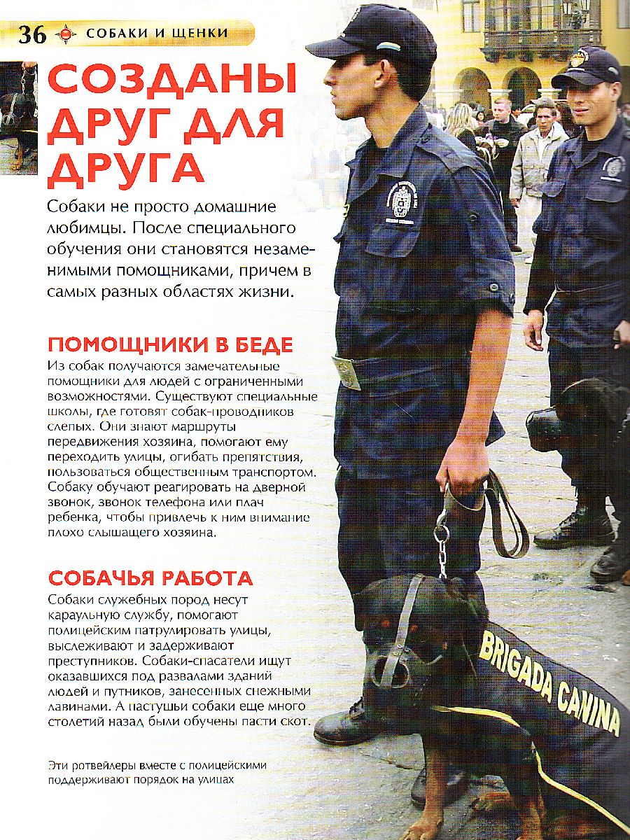 Обложка Собаки и щенки. Детская энциклопедия, издательство РОСМЭН | купить в книжном магазине Рослит