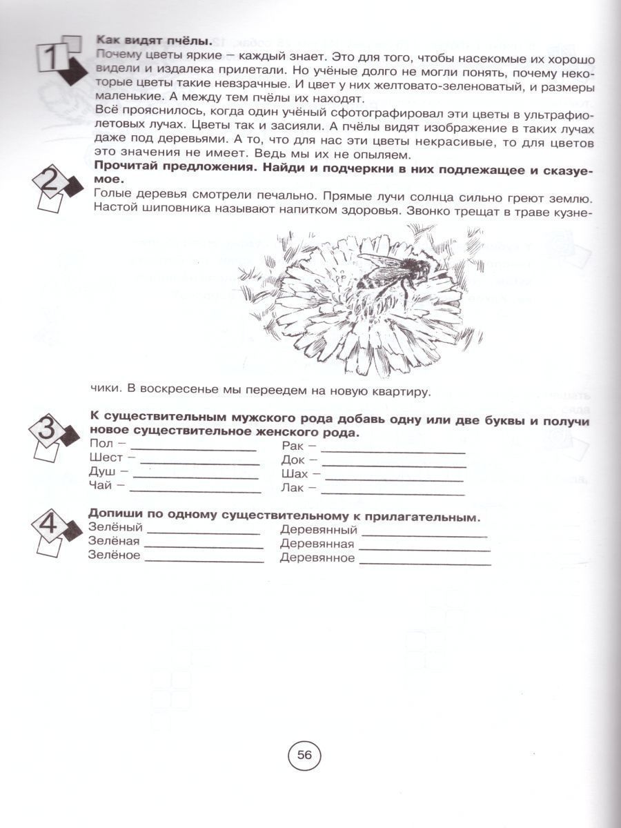 Обложка книги Занимательная летняя школа 4-5 класс (4 передмета на одном развороте), Автор Беденко М.В. Фролова Н.Н., издательство 5 за знания | купить в книжном магазине Рослит