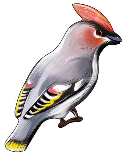 Обложка книги Вырубная фигурка Свиристель (УФ-лак) М-14092 (Сфера), Автор М-14092, издательство Сфера | купить в книжном магазине Рослит