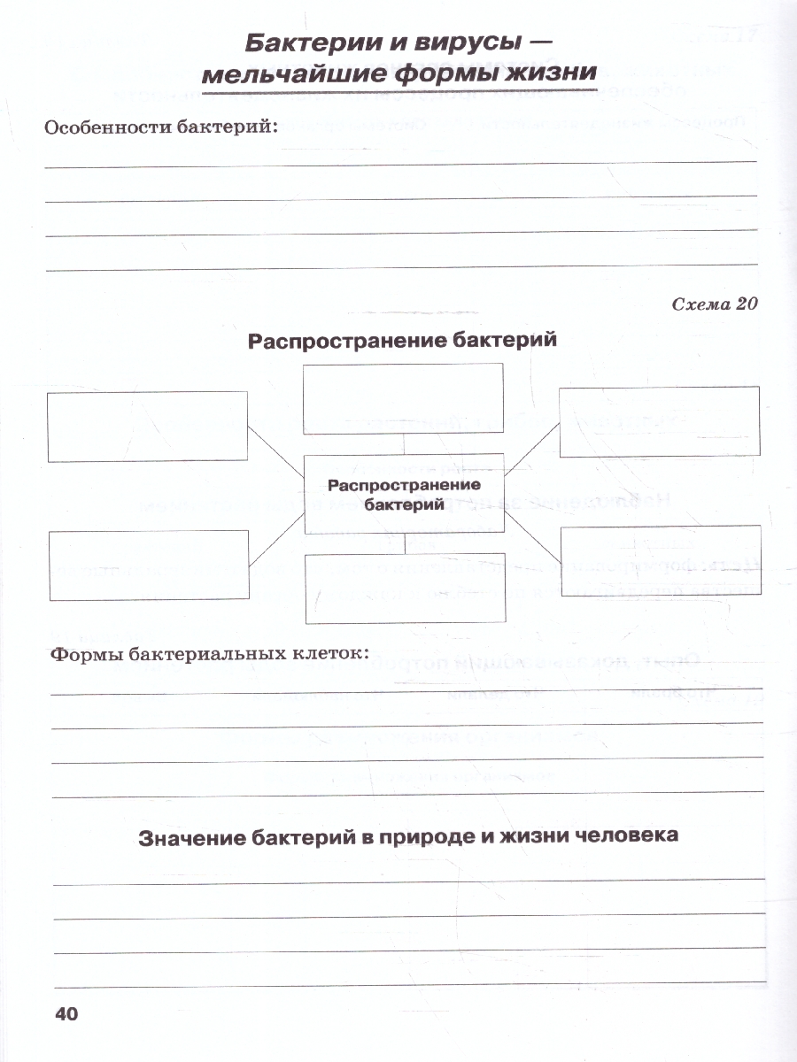 Обложка книги Биология 5 класс. Рабочая тетрадь. ФГОС, Автор Бодрова Н. Ф., издательство ТЦУ | купить в книжном магазине Рослит