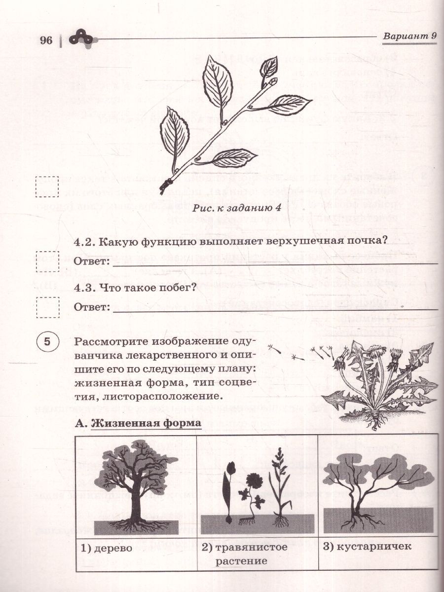 Обложка книги ВПР Биология 6 класс. 10 тренировочных вариантов, Автор Кириленко А. А., издательство ЛЕГИОН | купить в книжном магазине Рослит
