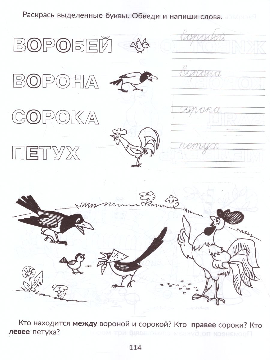 Обложка книги Готовимся к школе. Большая пропись-поддержка для детей, которым нелегко дается письмо, Автор Ушинская Т.В., издательство ЛИТЕРА | купить в книжном магазине Рослит