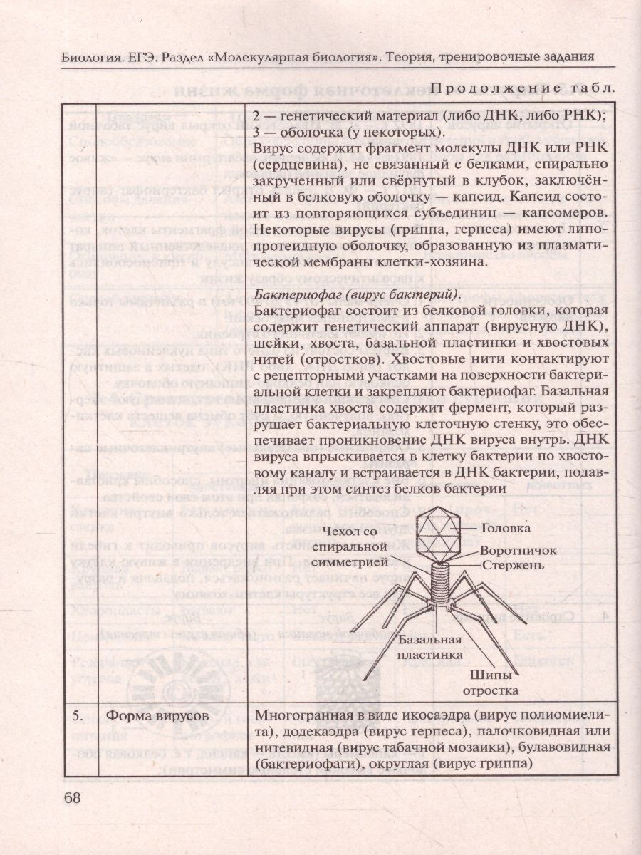 Обложка книги Биология 11 класс. Раздел "Молекулярная биология" Теория, тренировочные задания, Автор Кириленко А.А., издательство ЛЕГИОН | купить в книжном магазине Рослит