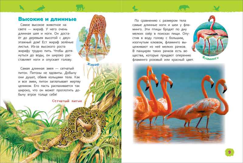 Обложка Удивительные животные. Энциклопедия для детского сада, издательство РОСМЭН | купить в книжном магазине Рослит